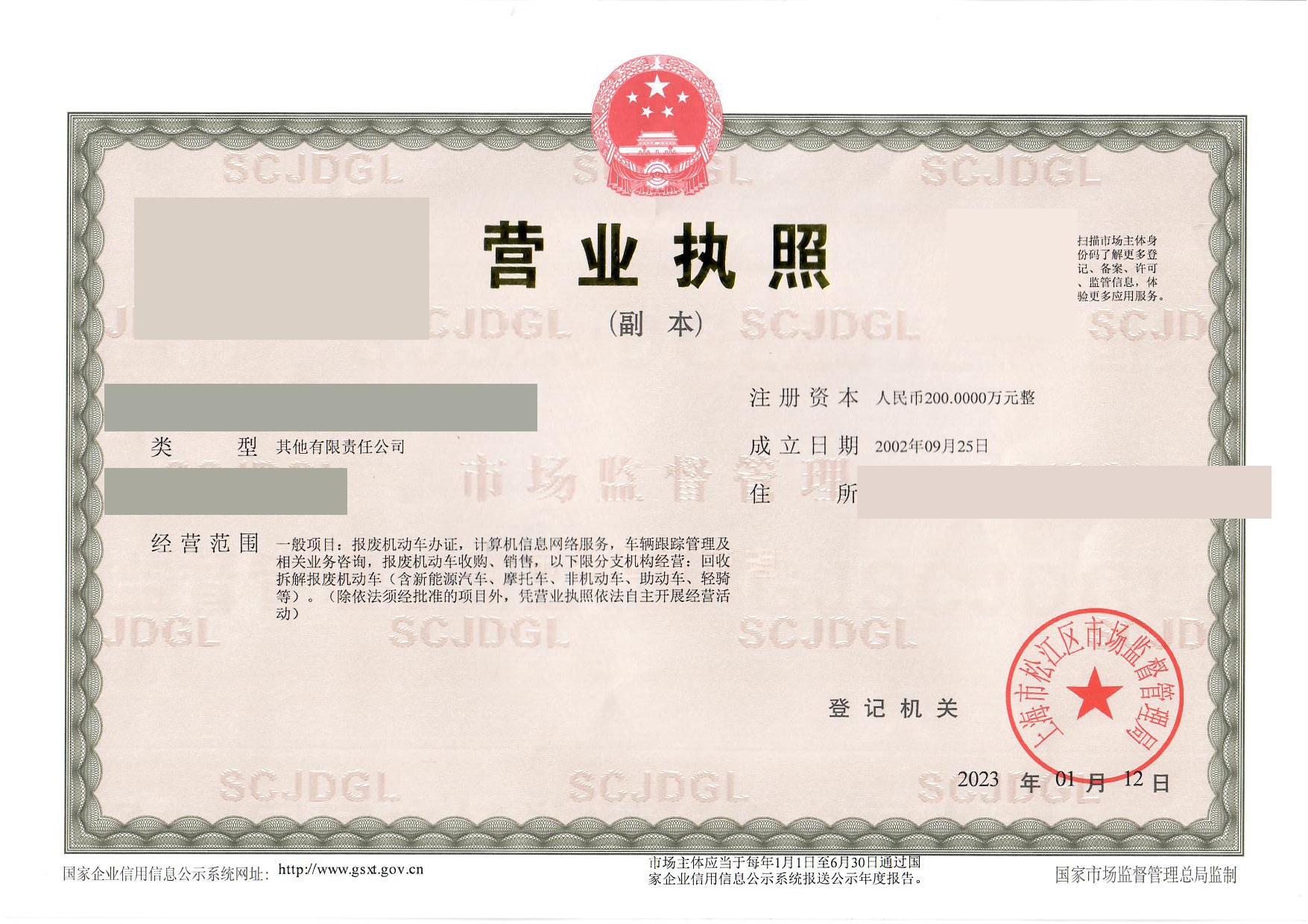 营业执照(副本样例,关键信息已打码)